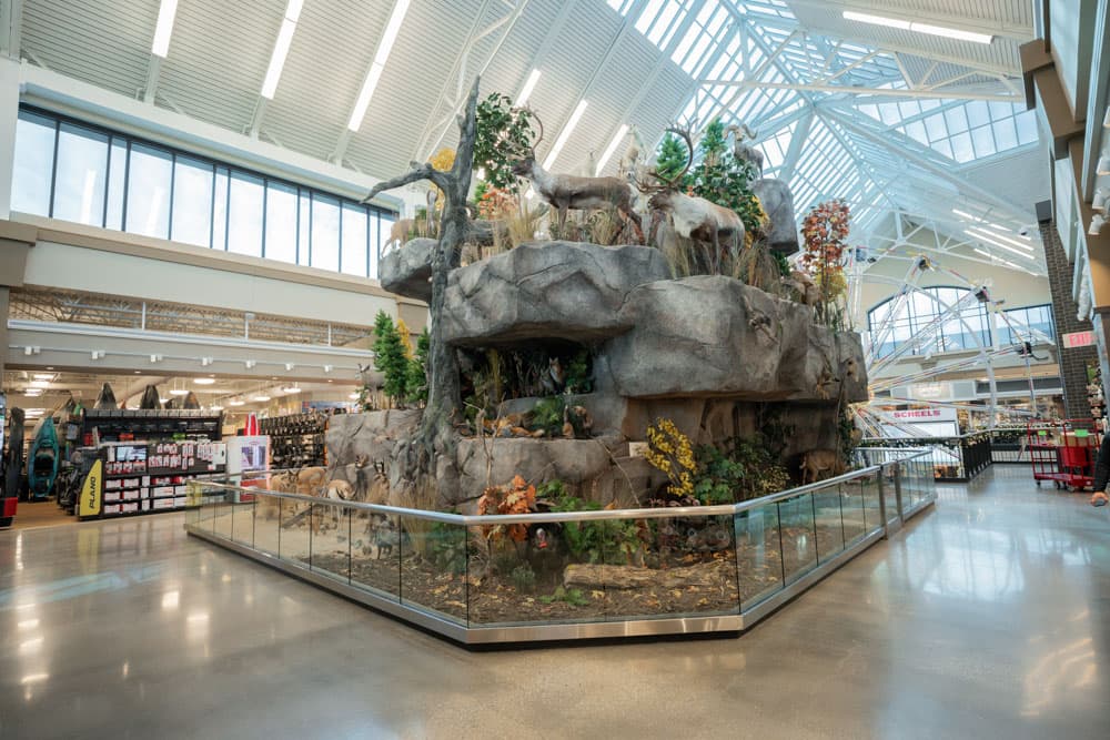 SCHEELS Tulsa project 4